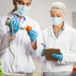 Le Système HACCP en France : Mise en Place, Pratiques et Évolutions de la Formation en 2025