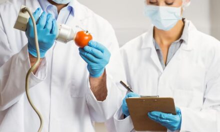 Le Système HACCP en France : Mise en Place, Pratiques et Évolutions de la Formation en 2025
