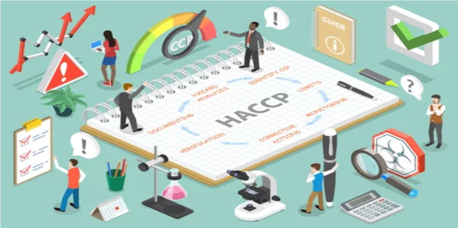 Plan de mise en application des 7 principes de la Formation HACCP